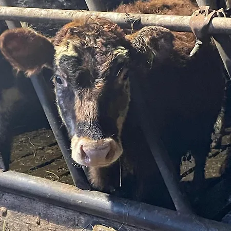 Cois Na Mara Bridges Of Ross V15 T677 Kilbaha