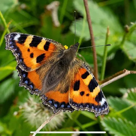 B&B Cois Na Mara Bridges Of Ross V15 T677 Kilbaha