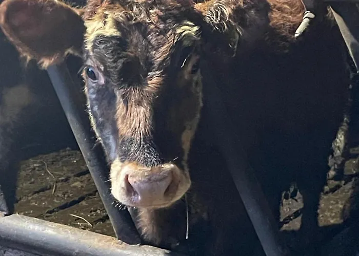 Cois Na Mara Bridges Of Ross V15 T677 Kilbaha