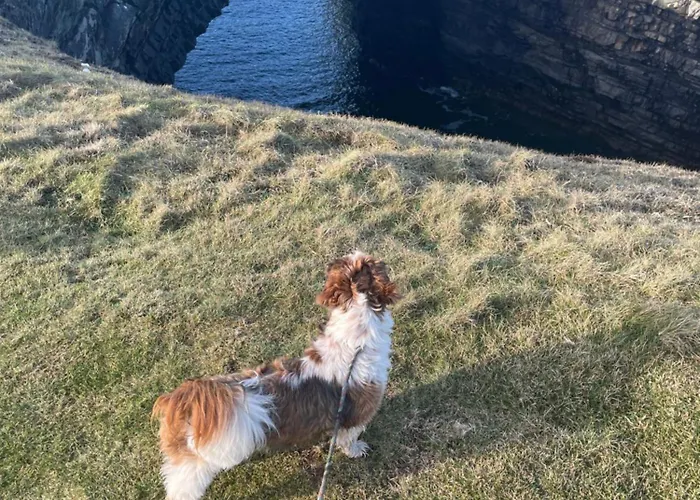 Cois Na Mara Bridges Of Ross V15 T677 Bed & Breakfast